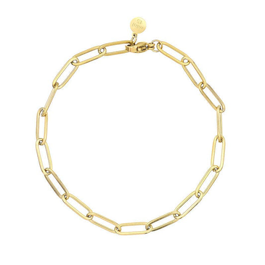 Mint15- Ketten-Armband: in Gold aus Edelstahl